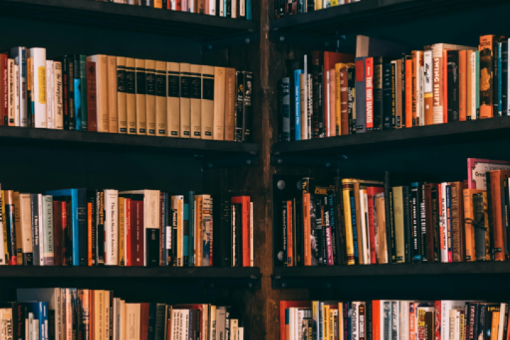 Library Shelves