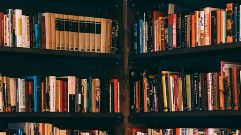 Library Shelves