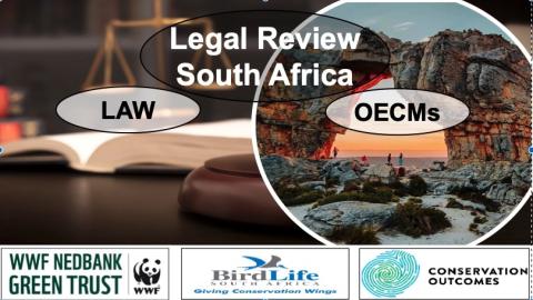 SA OECM Legal Rev.