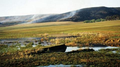 Mabola land