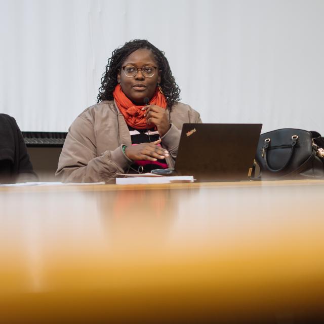 Panel member