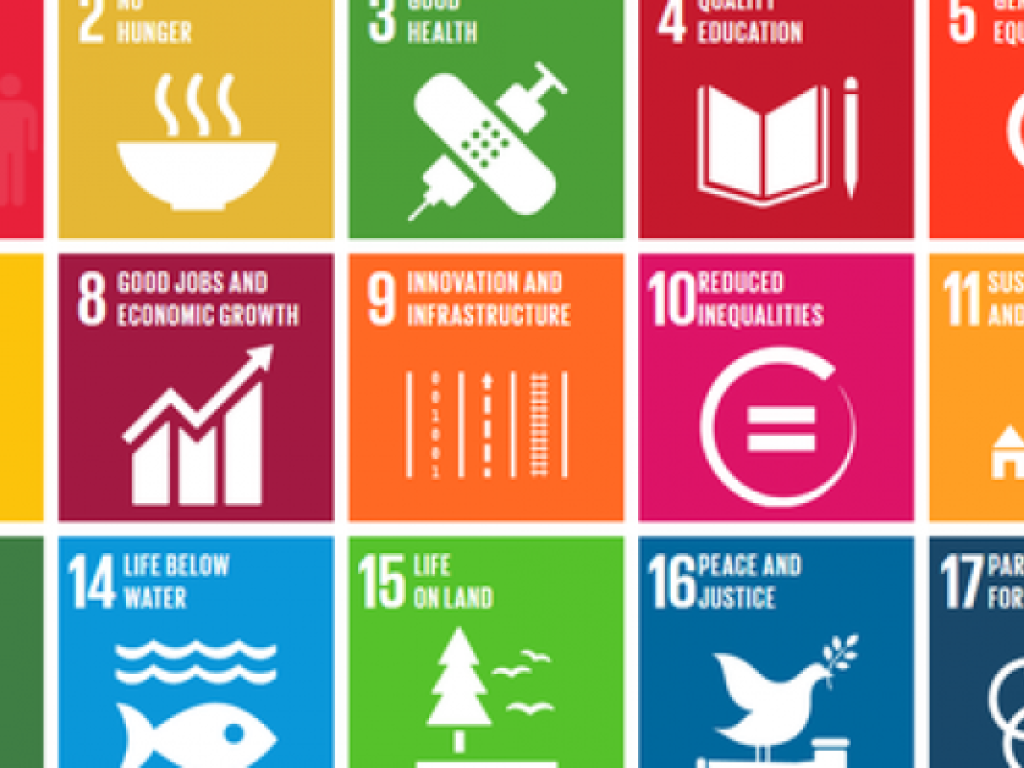 The Sustainable Development Goals 2030 lay out an ambitious, multi-faceted development agenda