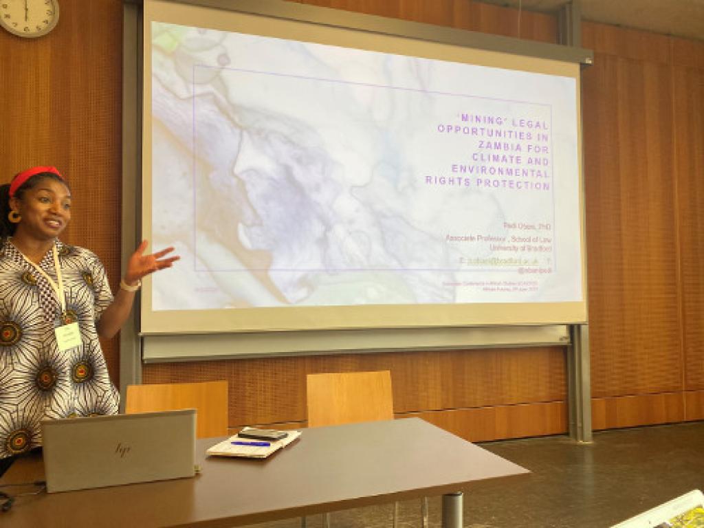 IMEL's attendance at the European Conference on African Studies