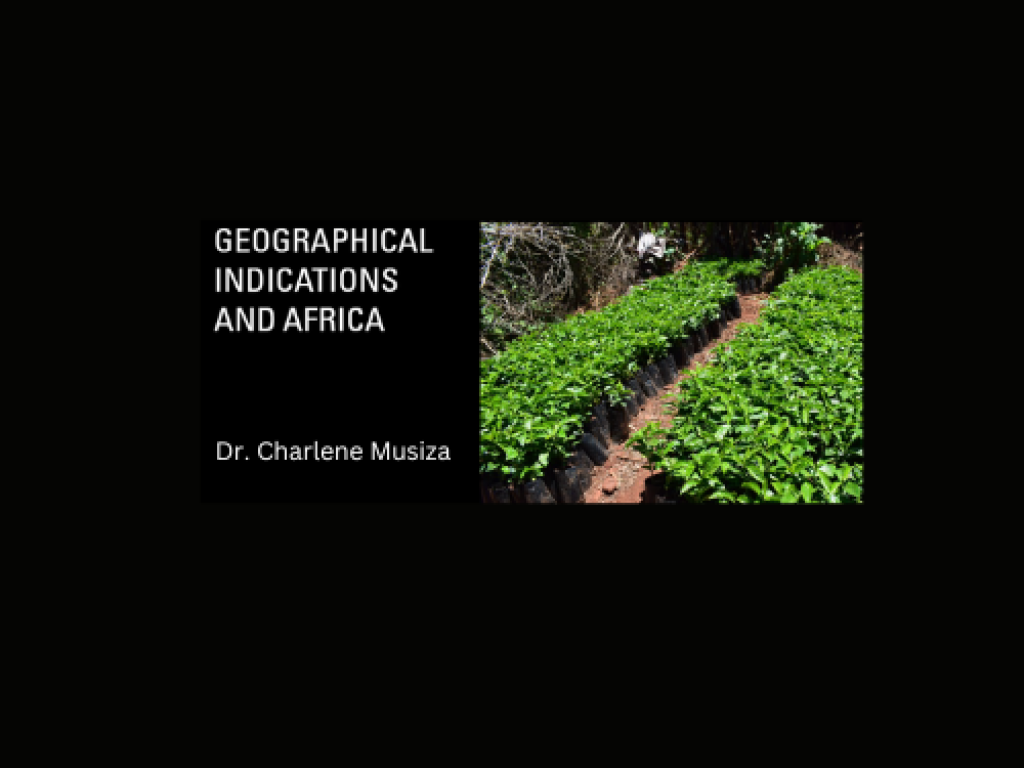 GIs presentation