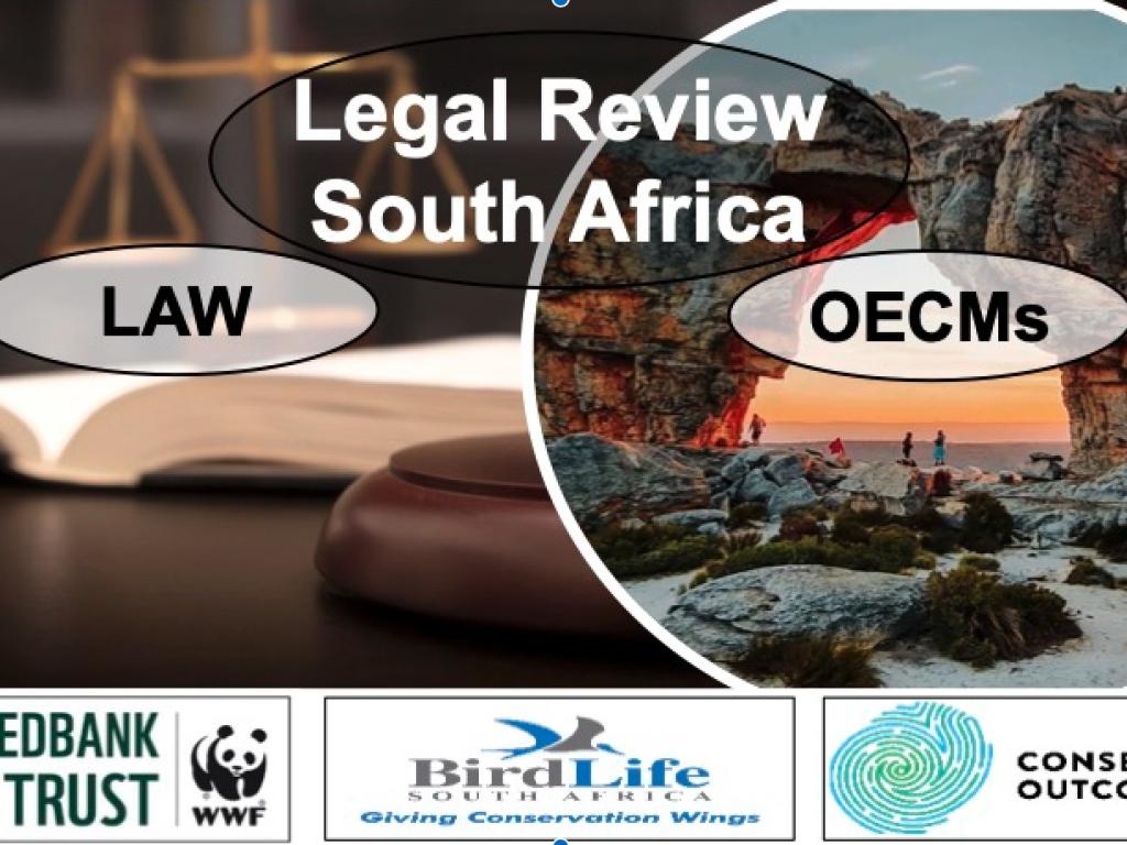 SA OECM Legal Rev.