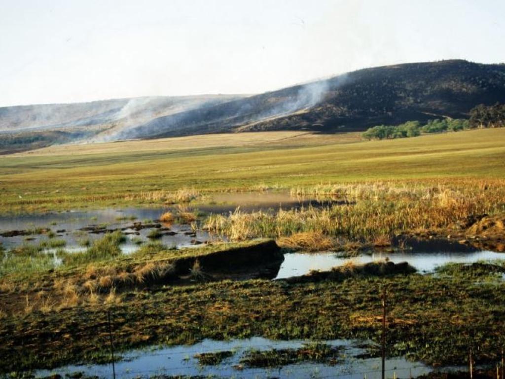Mabola land