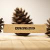 Does the New Expropriation Act 13 of 2024 address Historical Inequalities and Promote Access to Land?