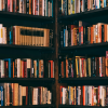 Library Shelves