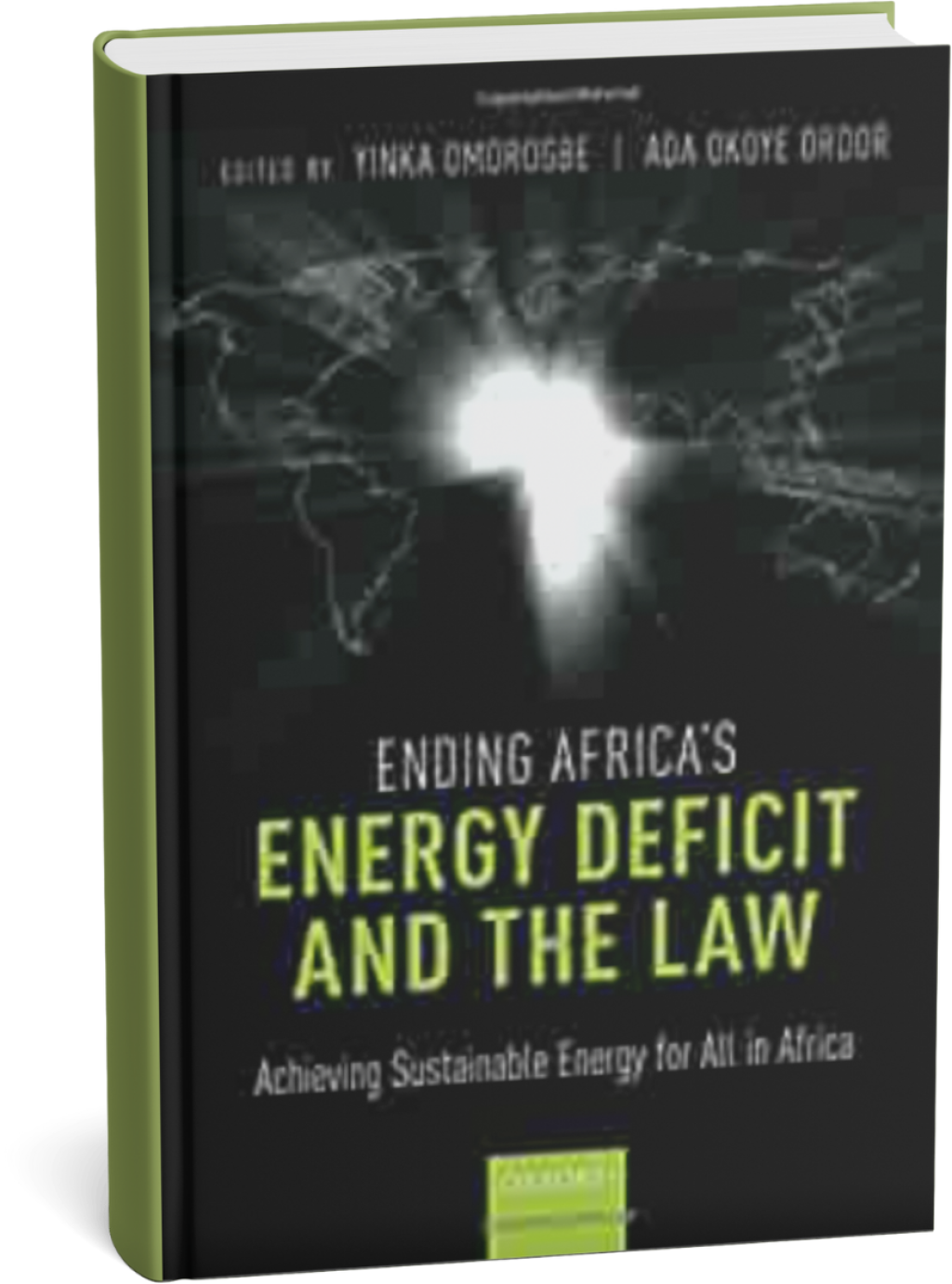 Prof Ada Ordor and Yinka Omorogbe Book Cover
